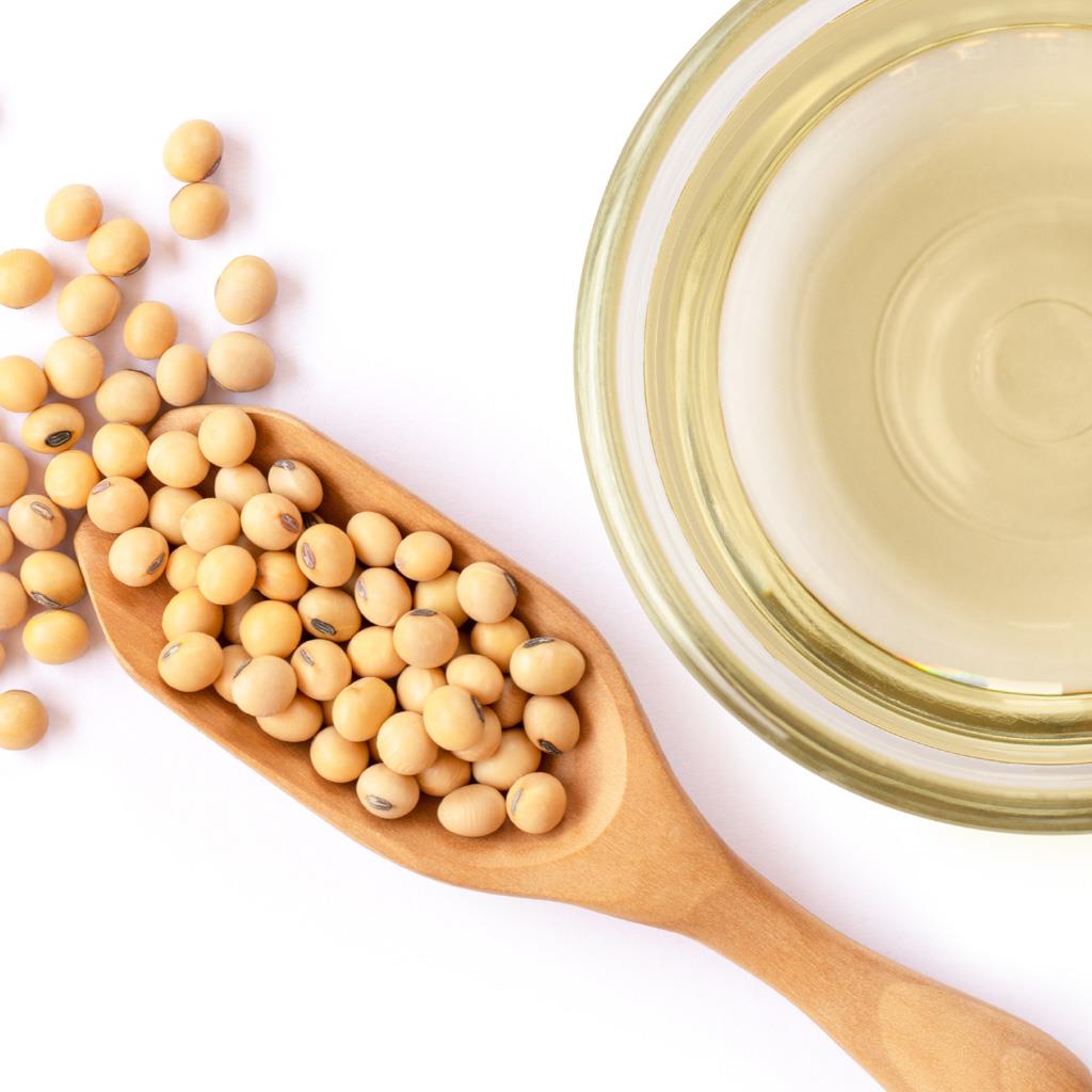 Glycine soja Вивасан